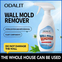 Mold removal
