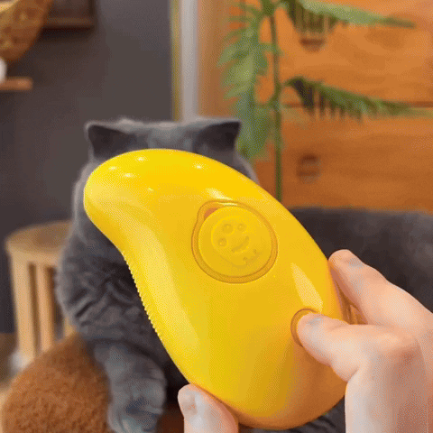 🔥Last Day Promotion - 50% OFF🎁CatCare SPA Brush