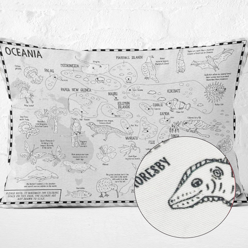 🔥Last Day Promotion- SAVE 70% color your own world map pillowcase