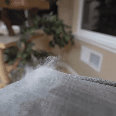 🔥Last Day Promotion - 50% OFF🎁CatCare SPA Brush