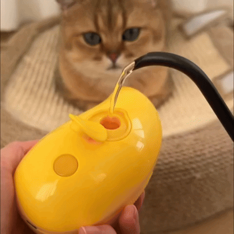 🔥Last Day Promotion - 50% OFF🎁CatCare SPA Brush
