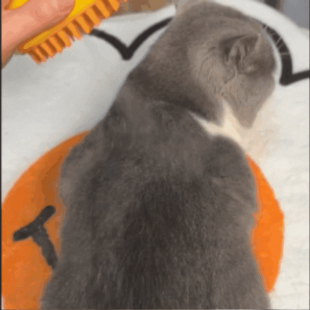 🔥Last Day Promotion - 50% OFF🎁CatCare SPA Brush
