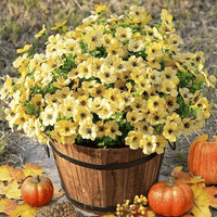 6 Bundles of Yellow / 126 flowers
