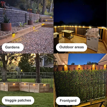 Deck Lights