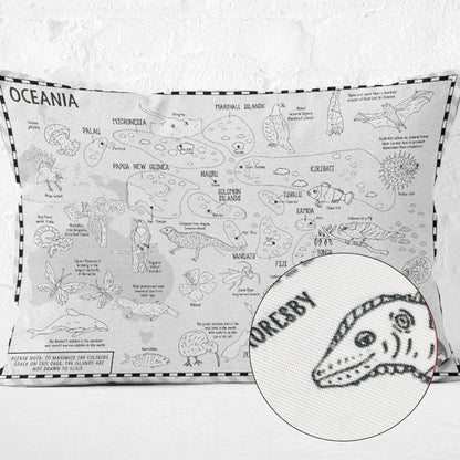 🔥Last Day Promotion- SAVE 70% color your own world map pillowcase